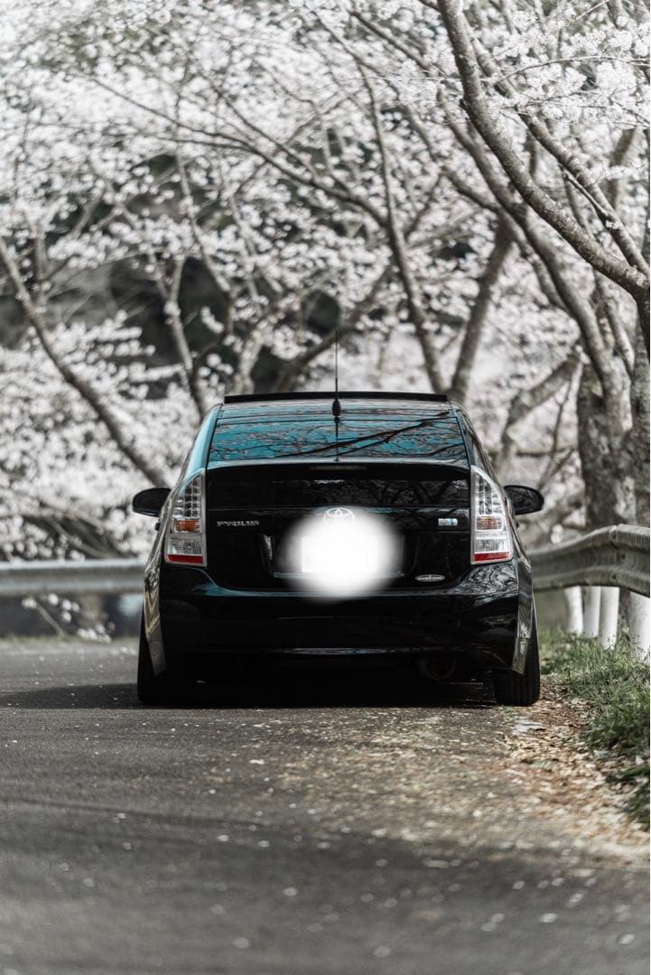 30プリウス キャンバープレート　3度【強化ボルト付き】