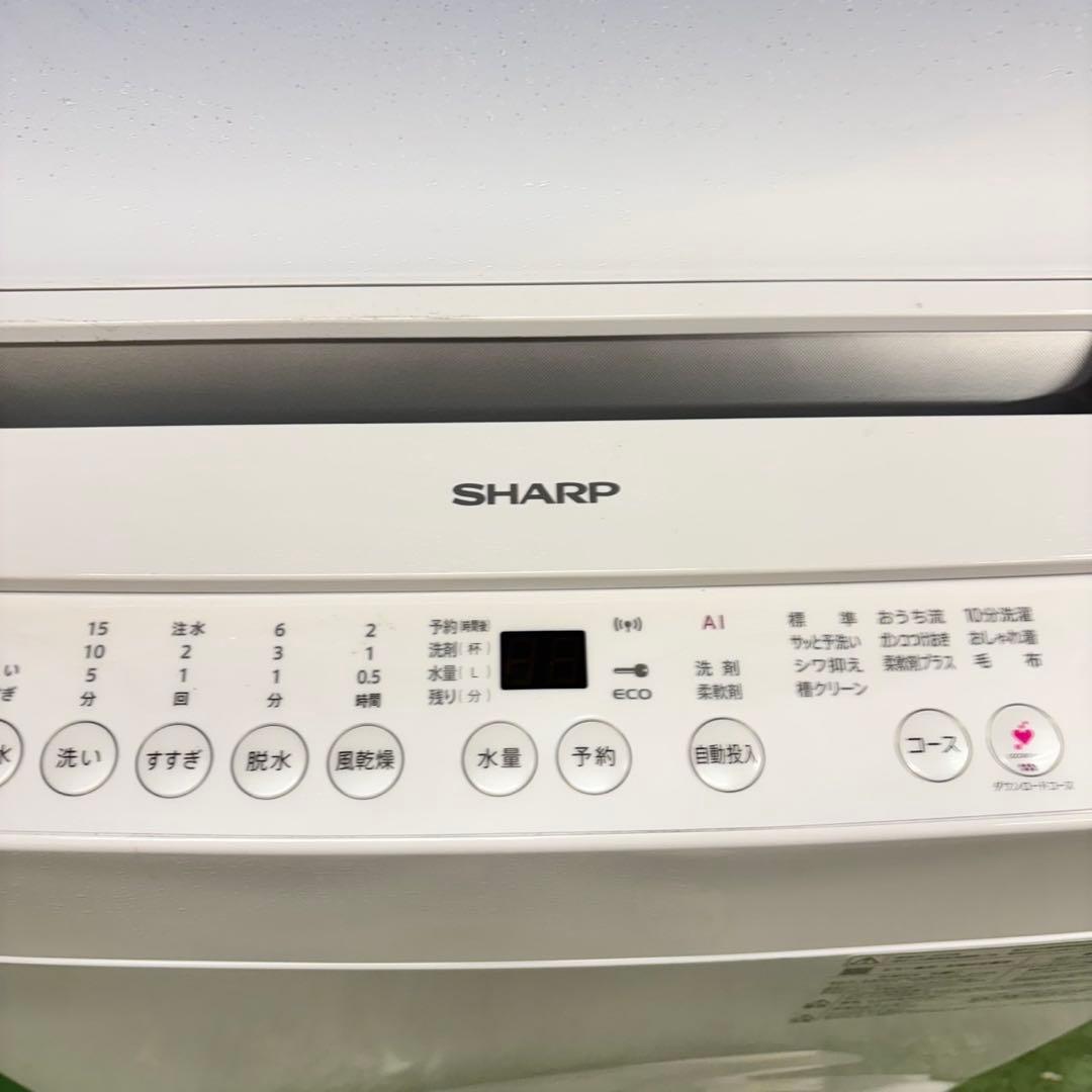 555 SHARP 最新 2025年製 洗濯機 極美品 小型 家庭用 一人暮らし