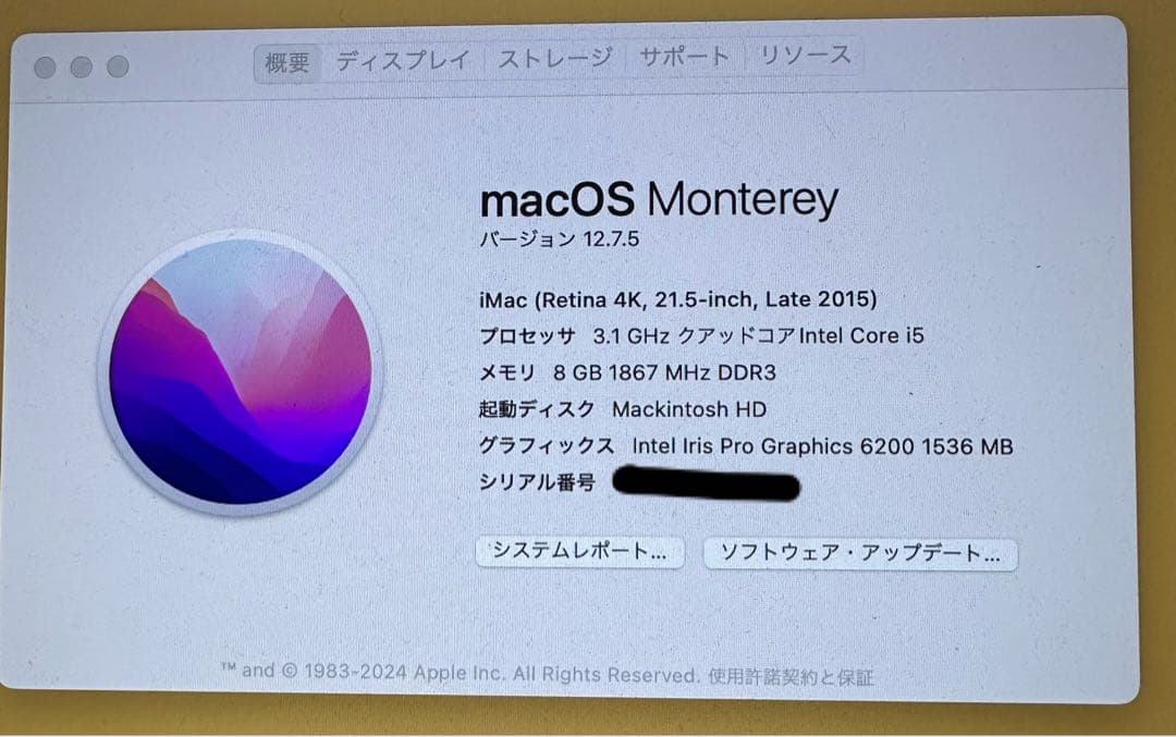 Macデスクトップ iMac Retina 4K 21.5inch Late 2015 2TB
