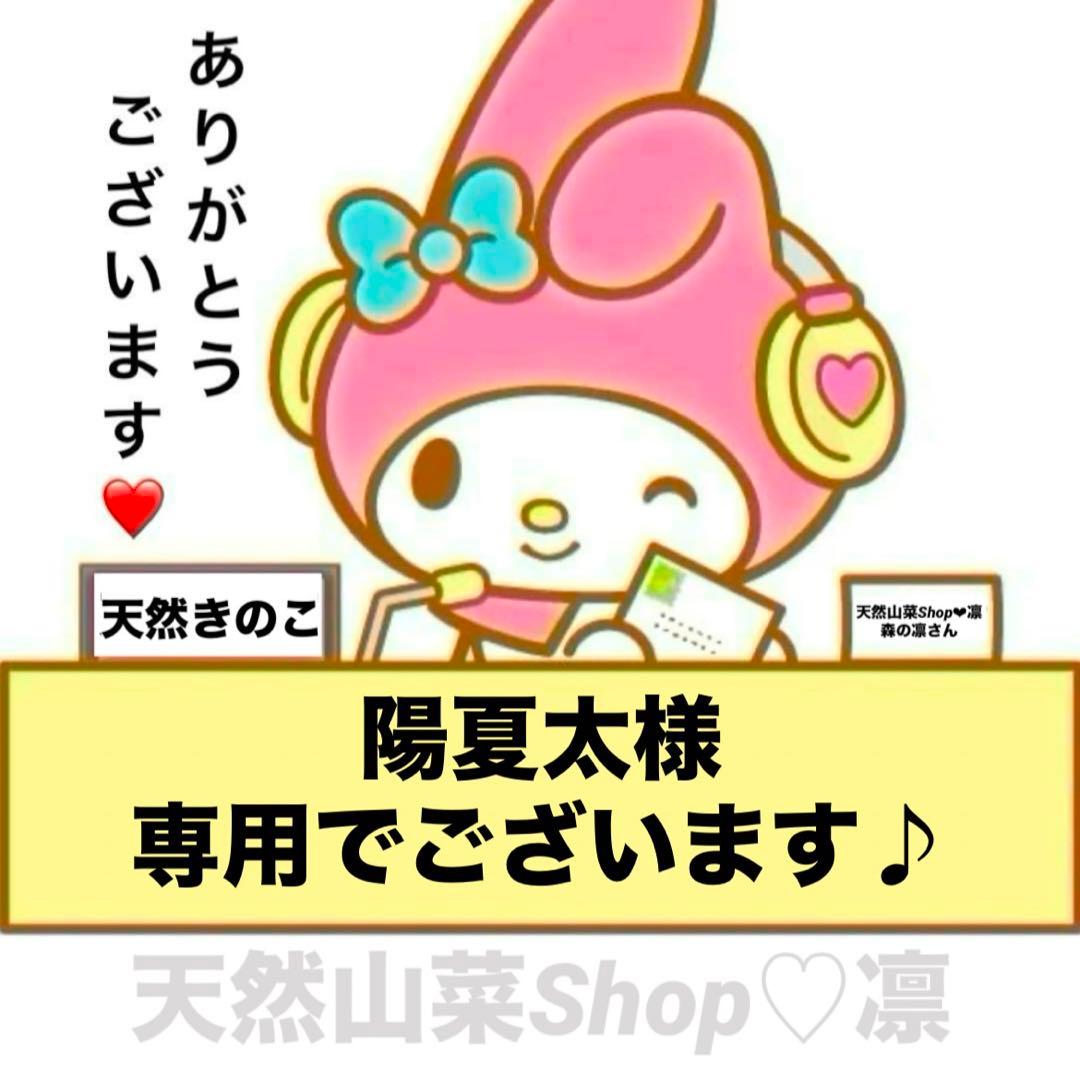 天然なめこ 雪中 新鮮 山形県産 きのこ 森の凛さん採取 その442