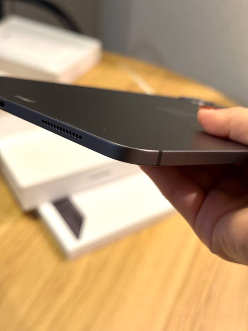 iPad Pro 11インチ (第2) 256GB WiFi+Cellular