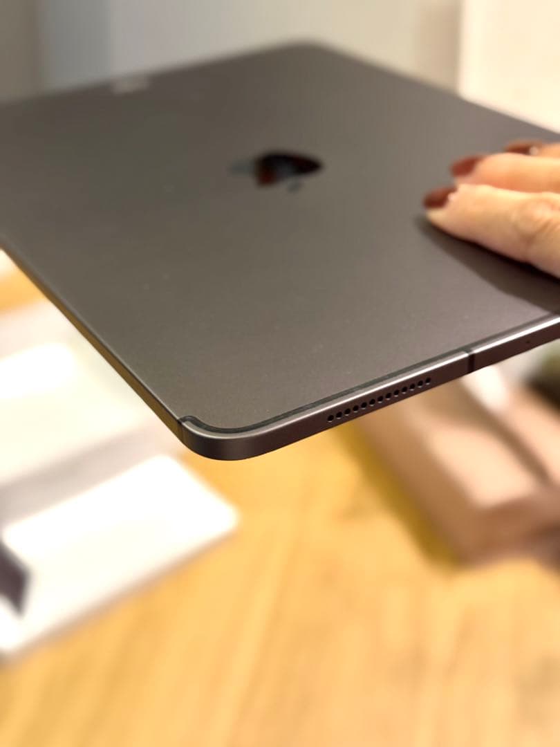 iPad Pro 11インチ (第2) 256GB WiFi+Cellular