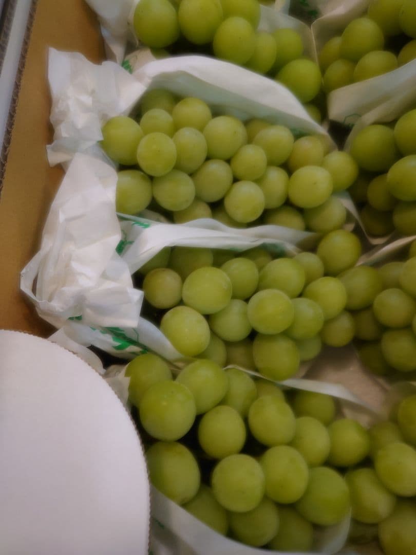 山梨県産　シャインマスカット１１房