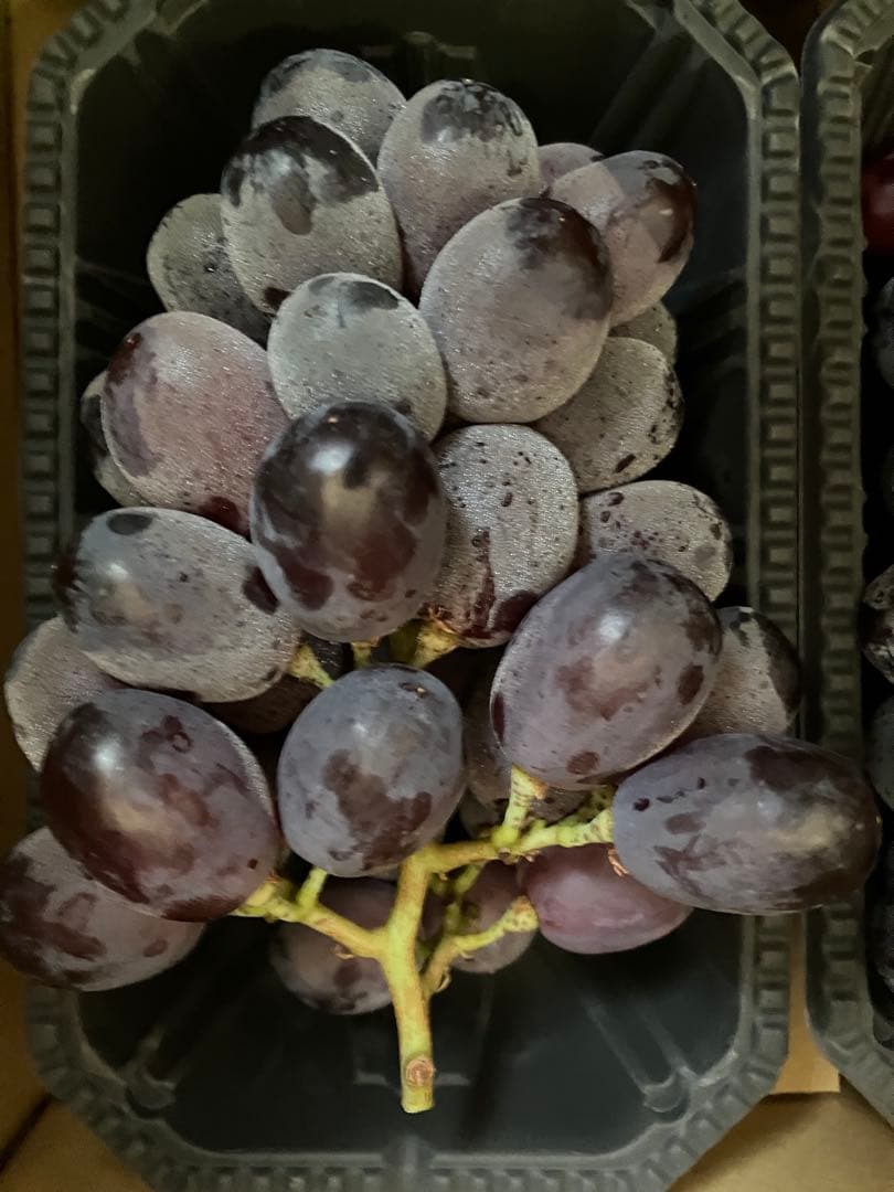 信州産クイーンルージュ・華鈴・ナイアガラ