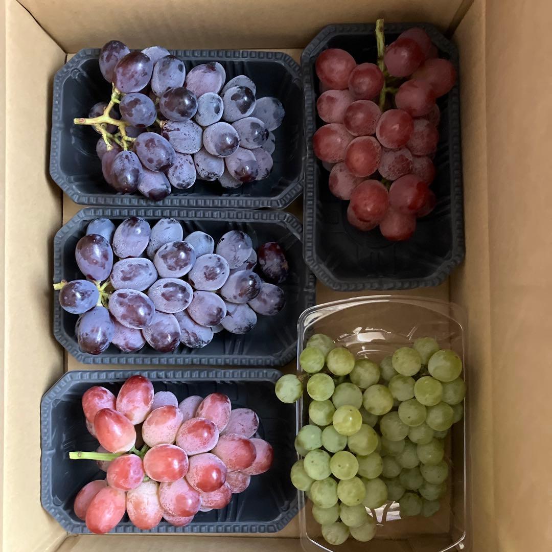 信州産クイーンルージュ・華鈴・ナイアガラ