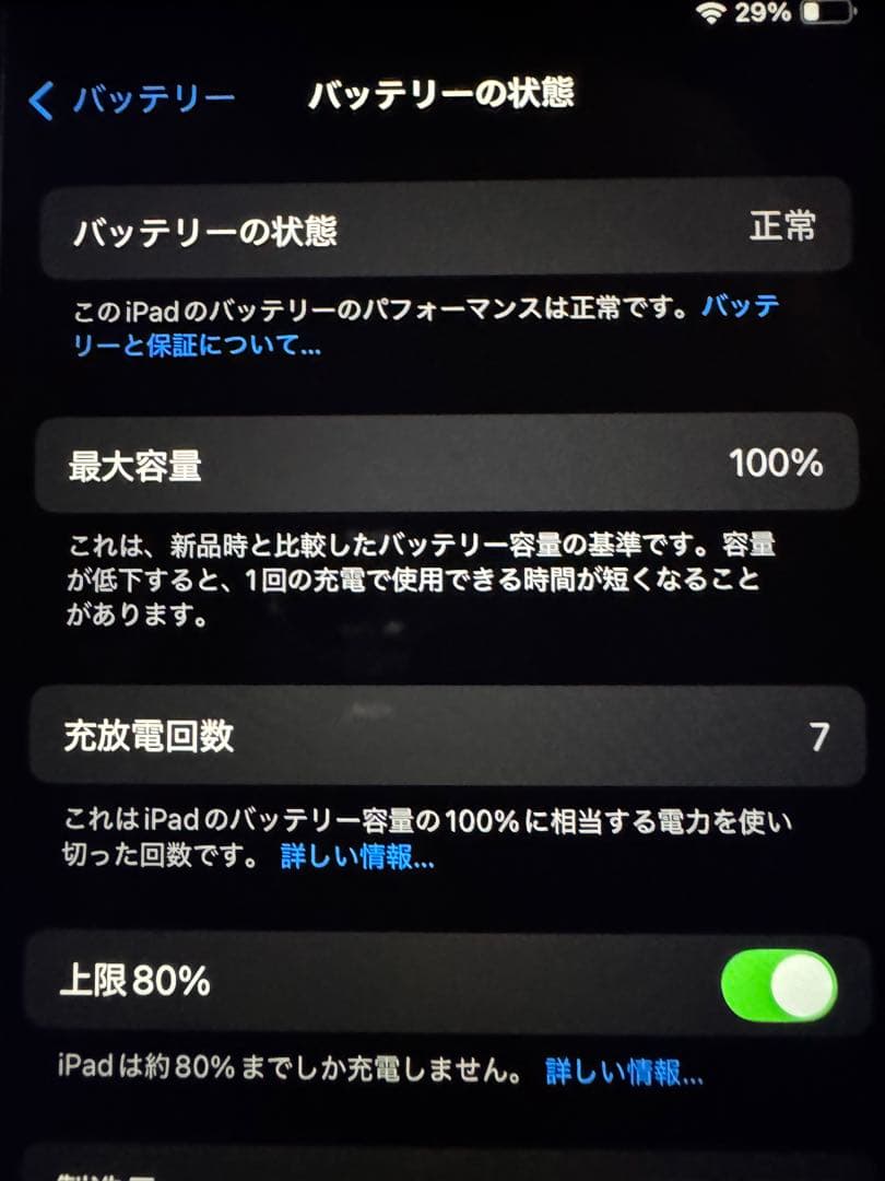 iPad mini 第7世代 セルラー256GB バッテリ100%純正カバー付き