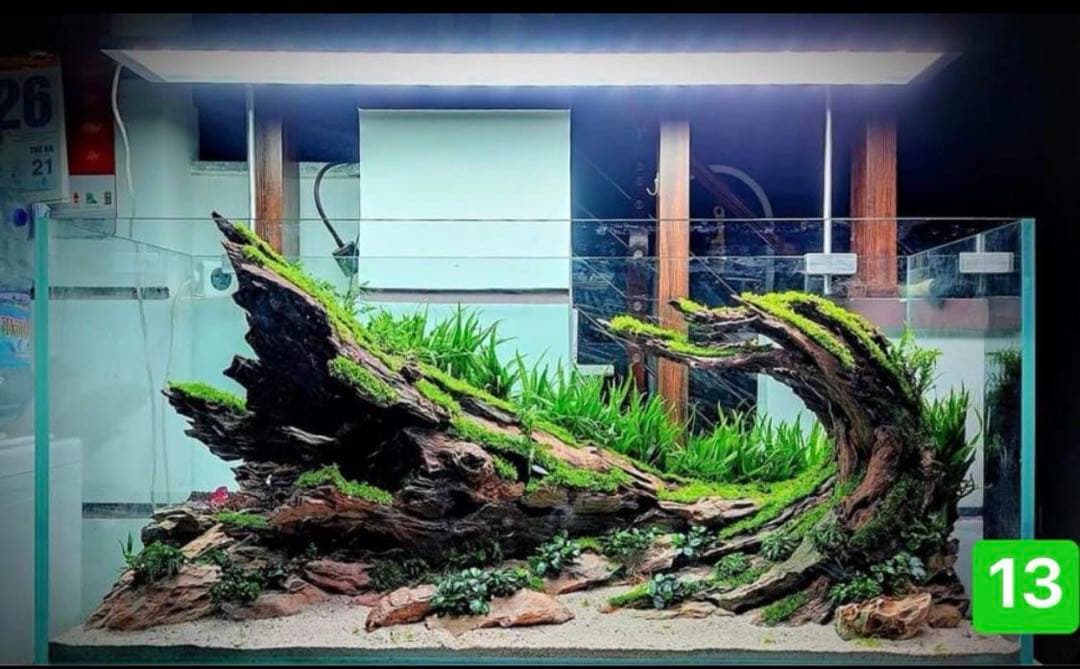 TTD 1360 【⭐︎ ゆーさん様⭐︎】【美品・数量限定】