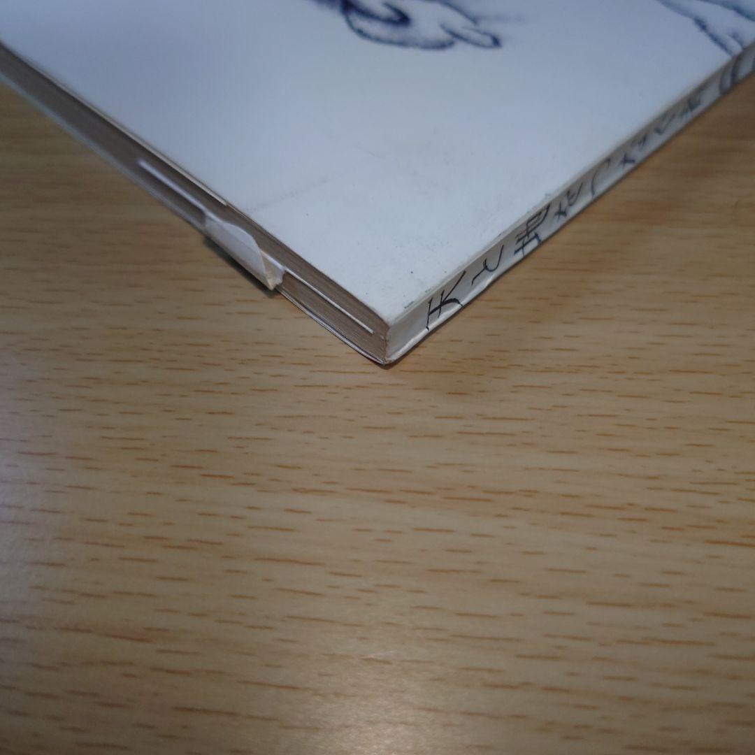 五井昌久先生 天と地をつなぐ者 毛筆揮毫 【道】