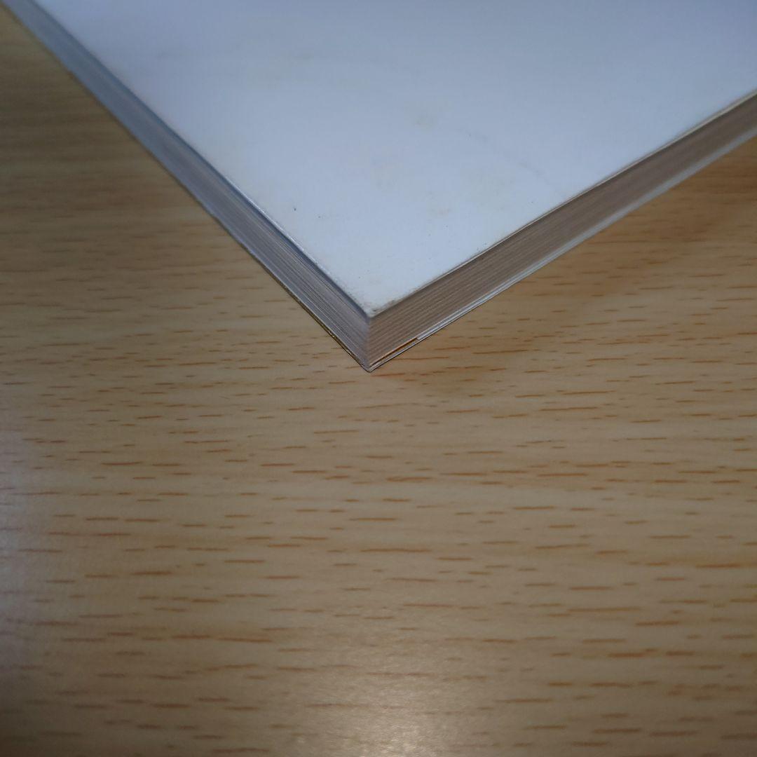 五井昌久先生 天と地をつなぐ者 毛筆揮毫 【道】