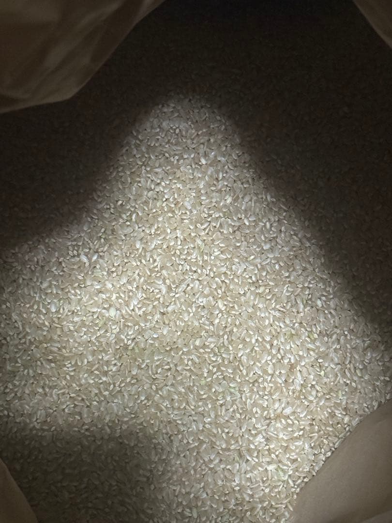 新潟県産 こしいぶき20kg 玄米 産年7年