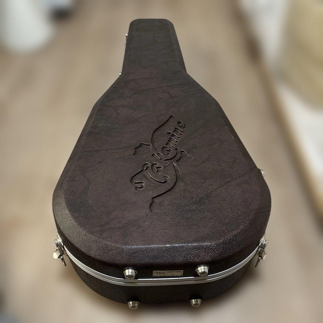 タカミネ NPT-115 エレアコ ハードケースつき