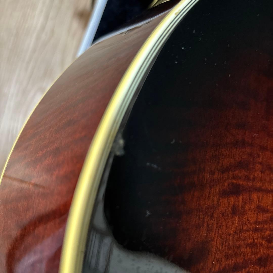 タカミネ NPT-115 エレアコ ハードケースつき