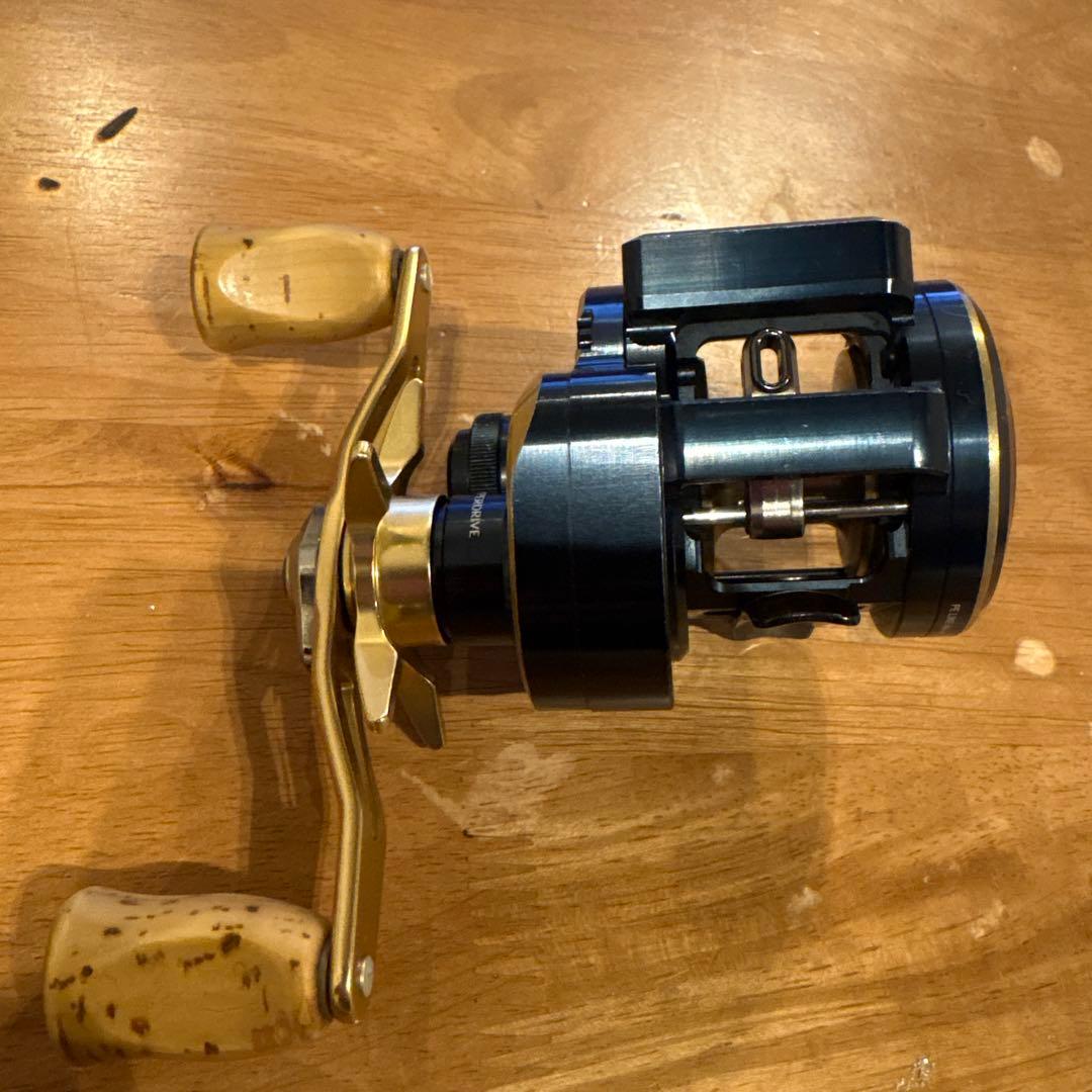 ダイワ　ソルティガic 100