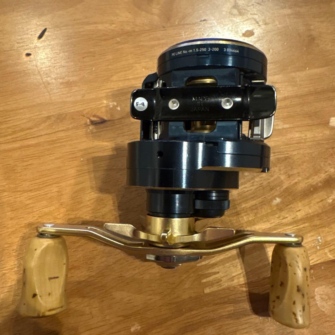 ダイワ　ソルティガic 100