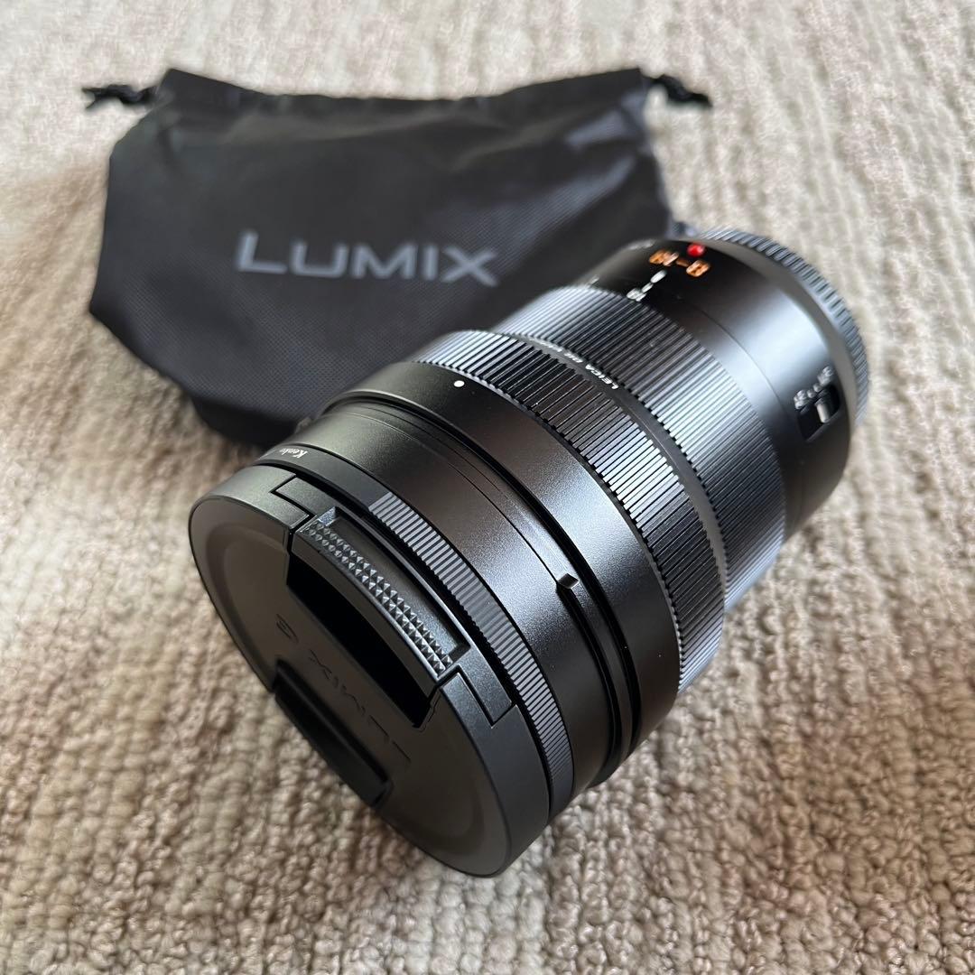 パナソニック H-08018 LEICA DG VARIO-ELMARIT