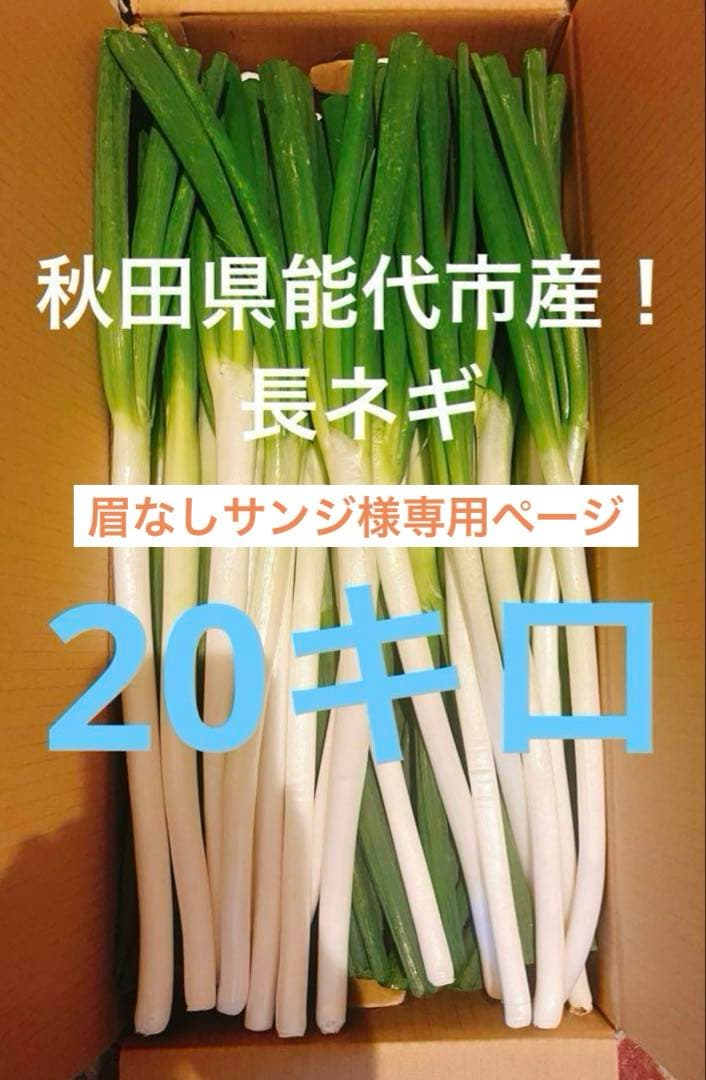 眉なしサンジページ 12/29発送分 20キロ