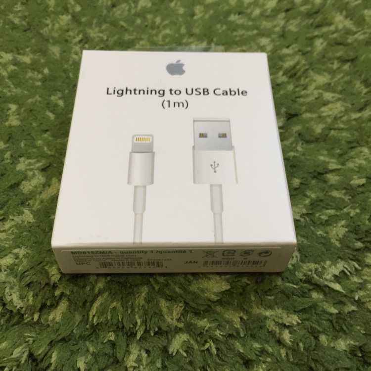 APPLE 純正 10本 1mライトニング ケーブルF02