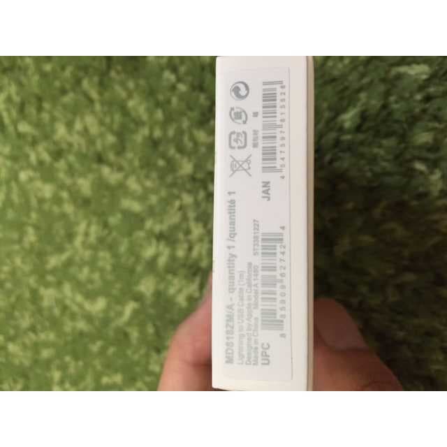 APPLE 純正 10本 1mライトニング ケーブルF02