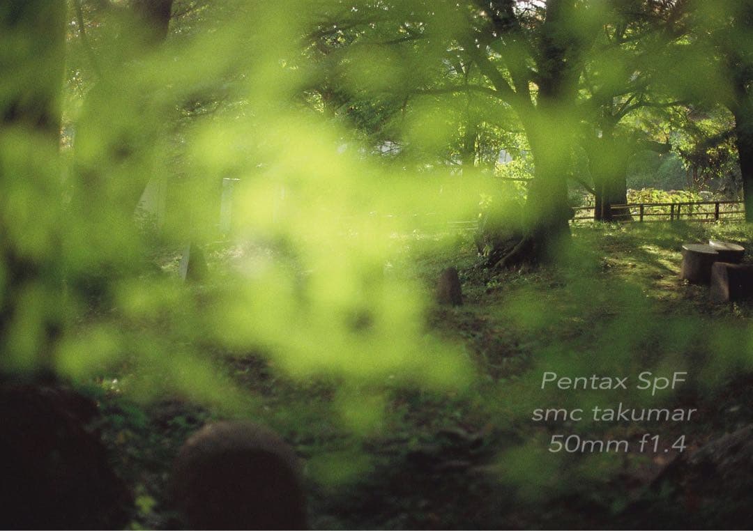 ★初期保証★PENTAX SPF/smc f1.4★完動品＊美品★作例多数