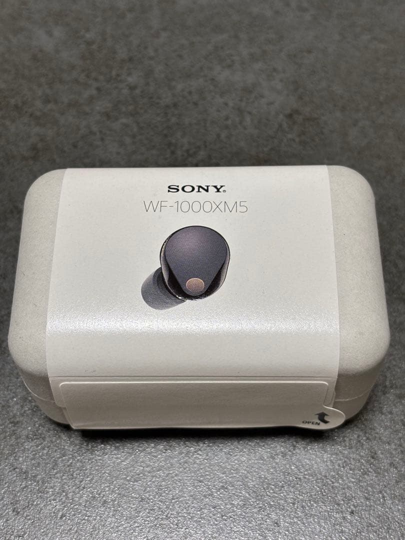 【美品】SONY WF-1000XM5 ケース付