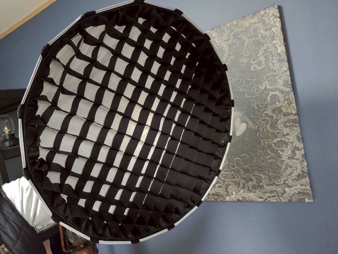 Aputure Light Dome Mini II 純正