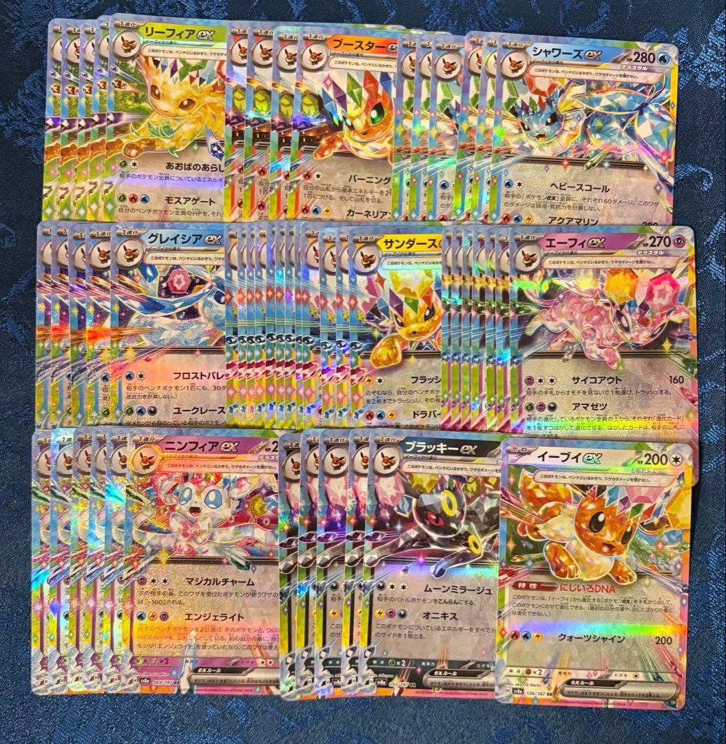 RR ブイズ セット まとめ売り テラスタルフェス テラフェス