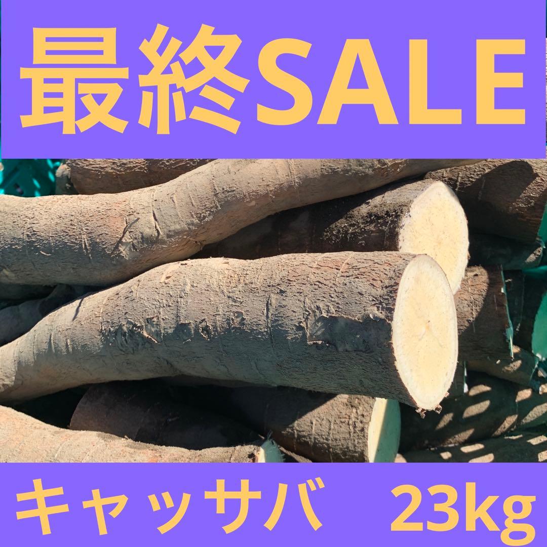 残りわずか！商品説明欄必読【新鮮品質】キャッサバ芋 23kg