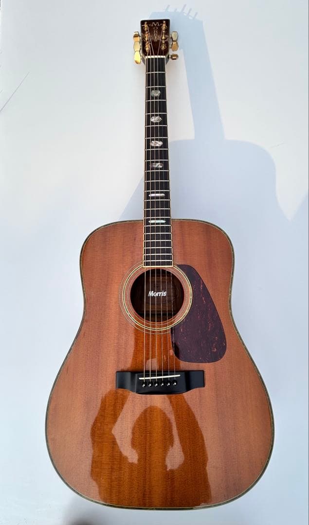 Morris TF-50アコースティックギター