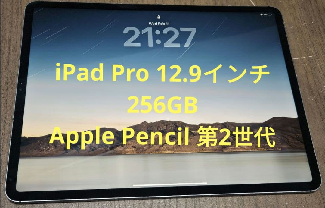 iPad Pro 第3世代12.9インチWi-Fi Cellularモデル