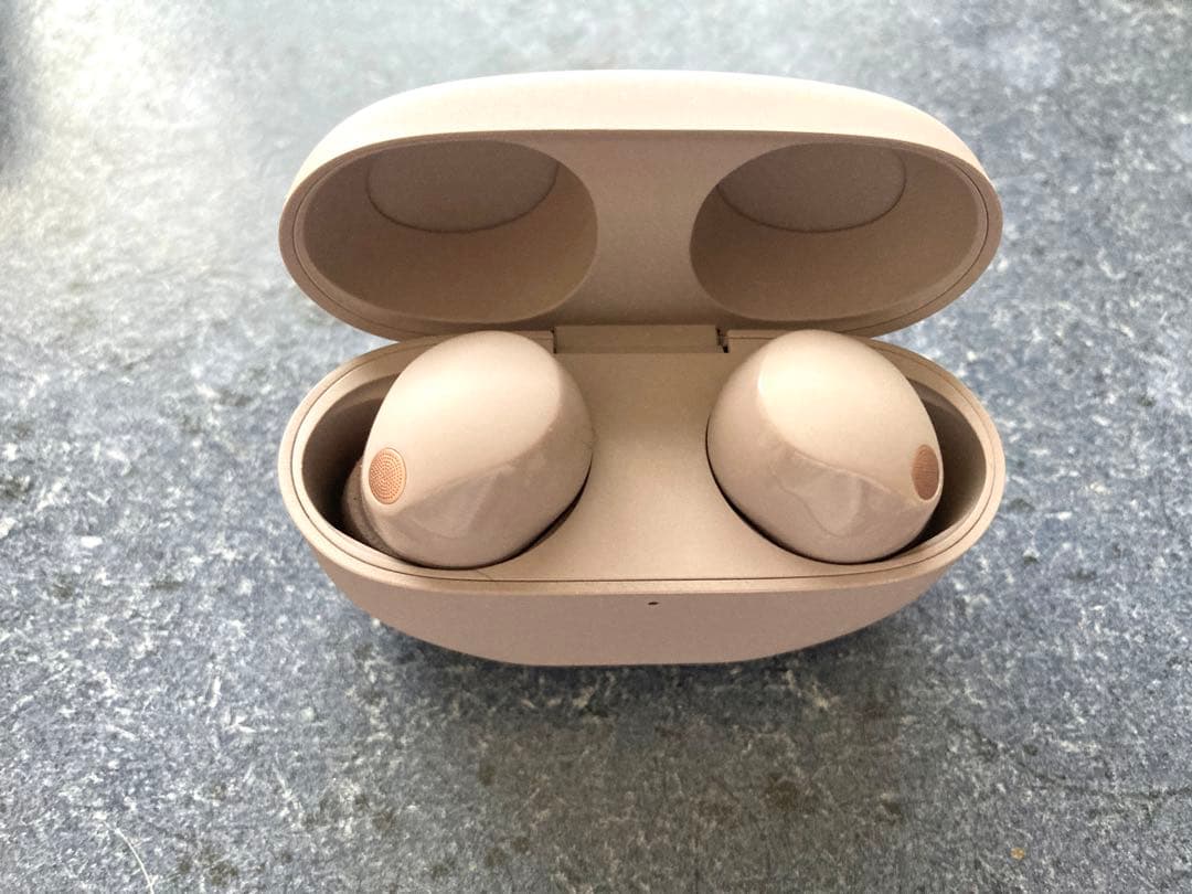 ソニー(SONY) ワイヤレスイヤホン WF-1000XM5 スモーキーピンク