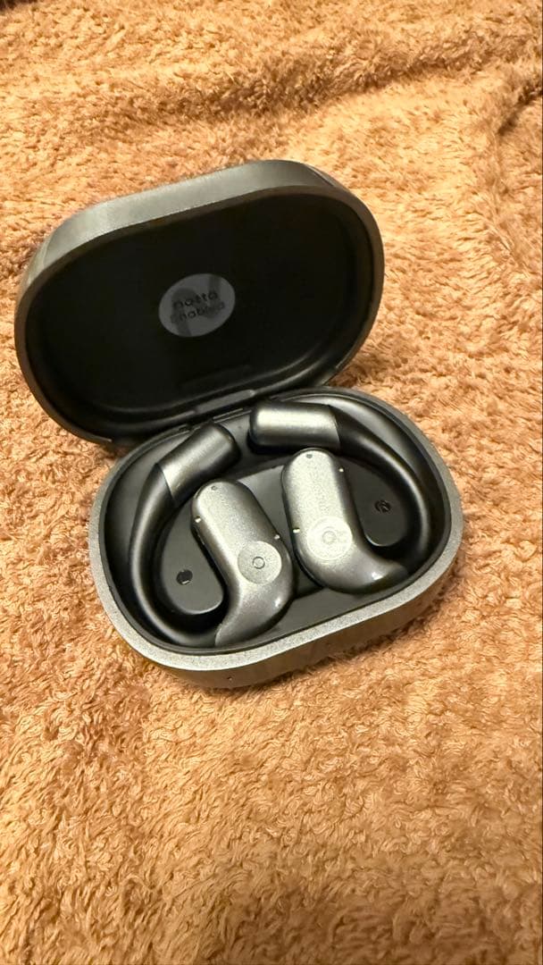 makuake 永年プレミアムプラン付属 AIイヤホン「ZENCHODE 1」