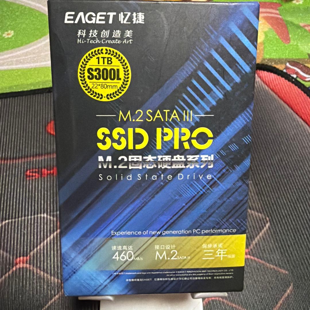 内蔵型SSD EAGET SSD PRO S300L 1TB M.2 SATA