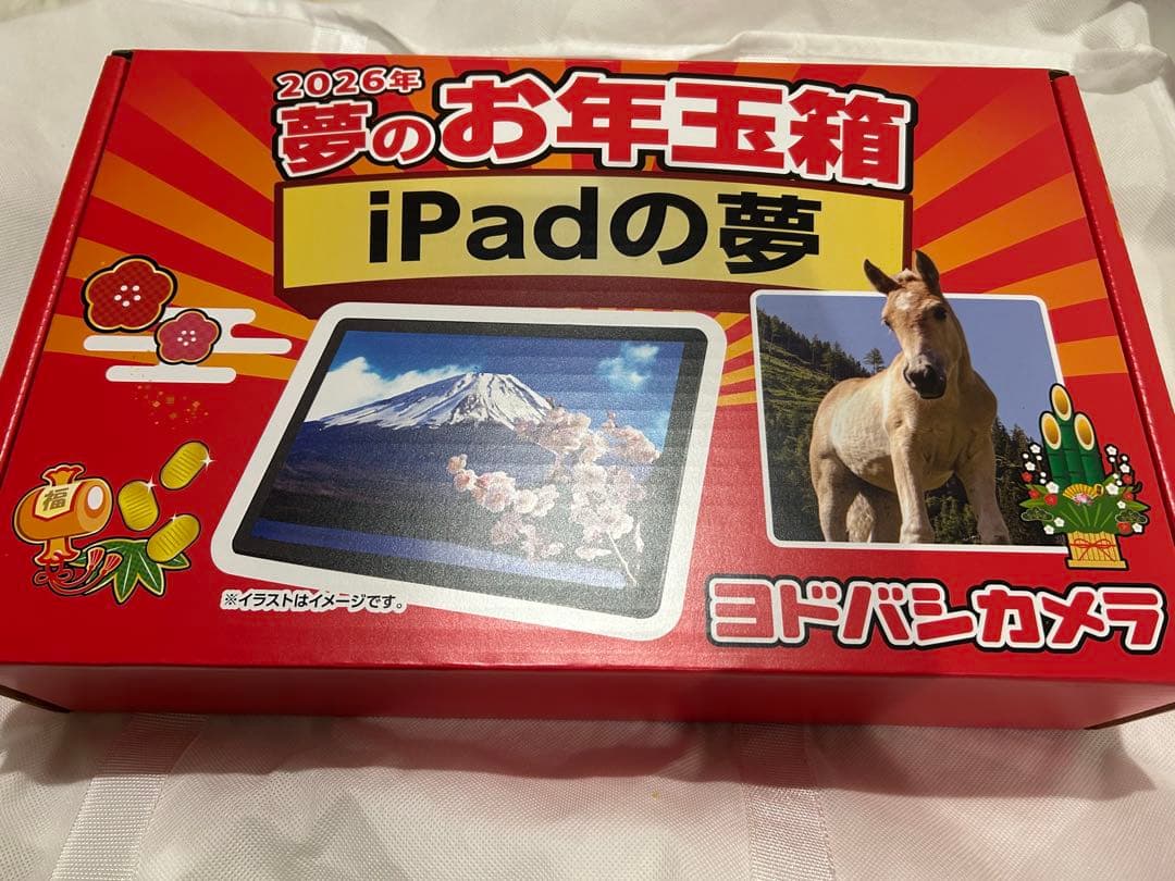 【即日発送】ヨドバシカメラ夢のお年玉箱2026 iPadの夢　新品未使用　保証書