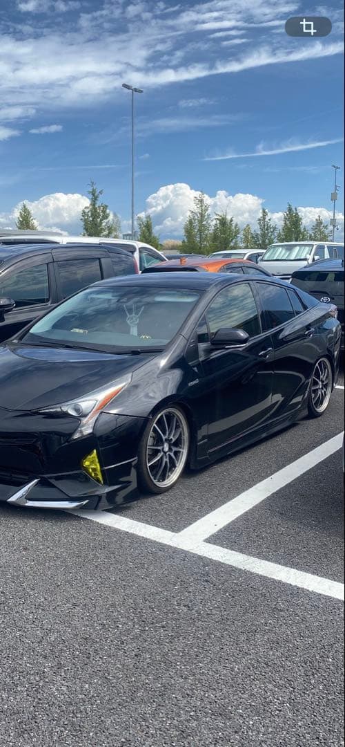 50プリウス前期フォグカバー