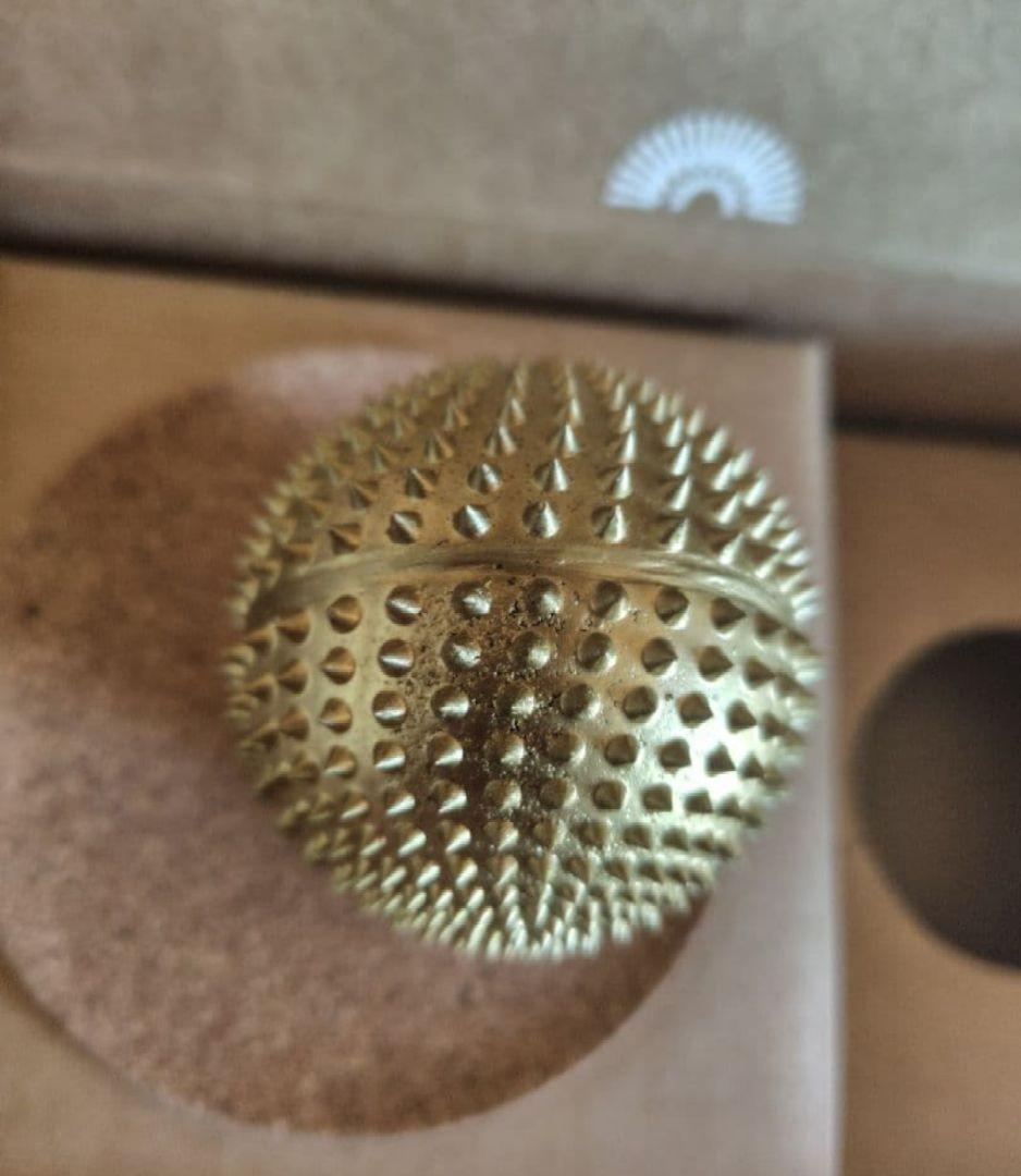 Shakti シャクティ ワンダーボール