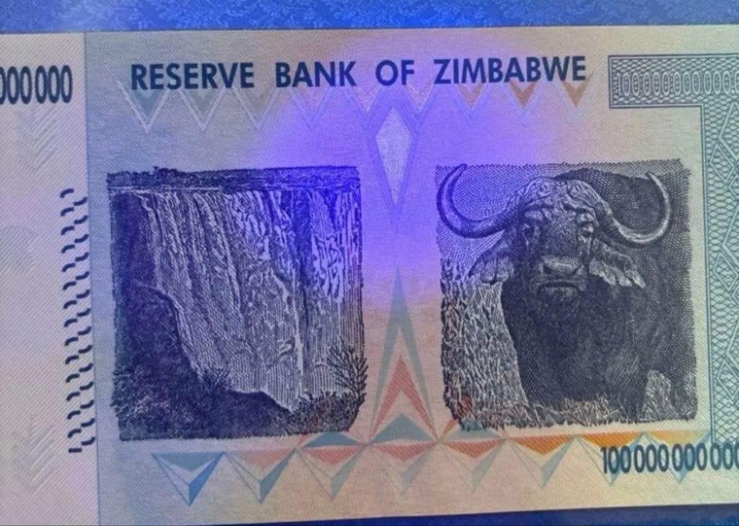 【保証書付き】ジンバブエ 100兆ドル札 2008年、UVチェック済み 1枚①