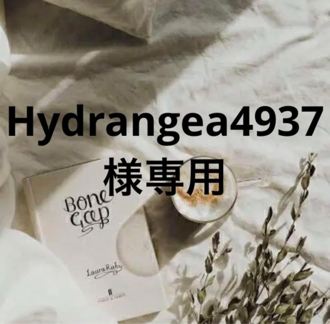 Hydrangea4936　準備中★