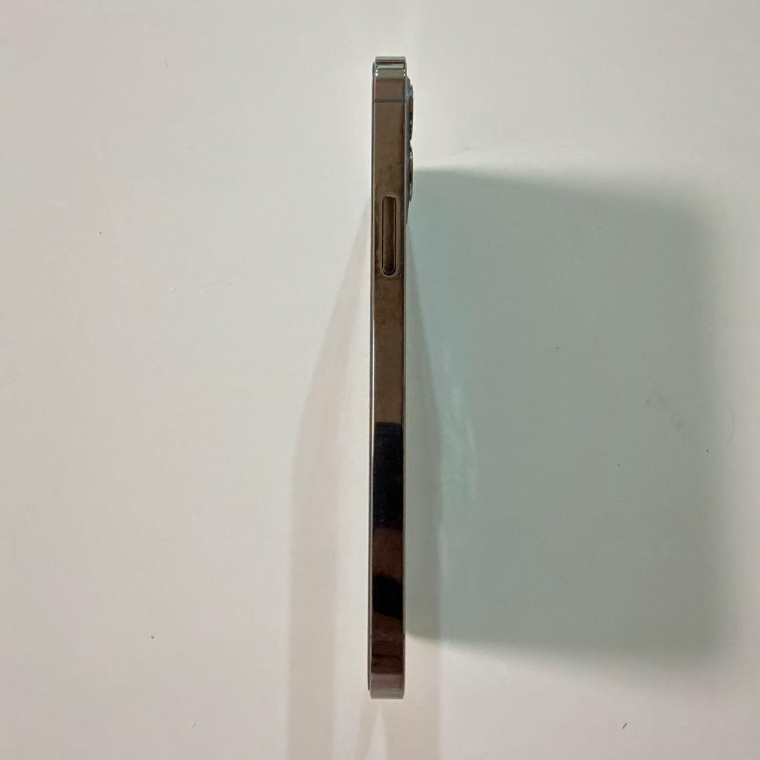 iPhone 12 Pro 256GB グラファイト 本体 おまけ SIMフリー