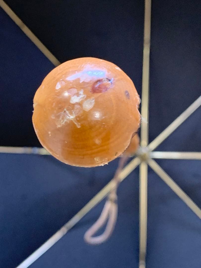 ギィドゥジャン雨晴日傘フランス製黒×白リボン付き晴雨兼用長傘生地張り替え済み