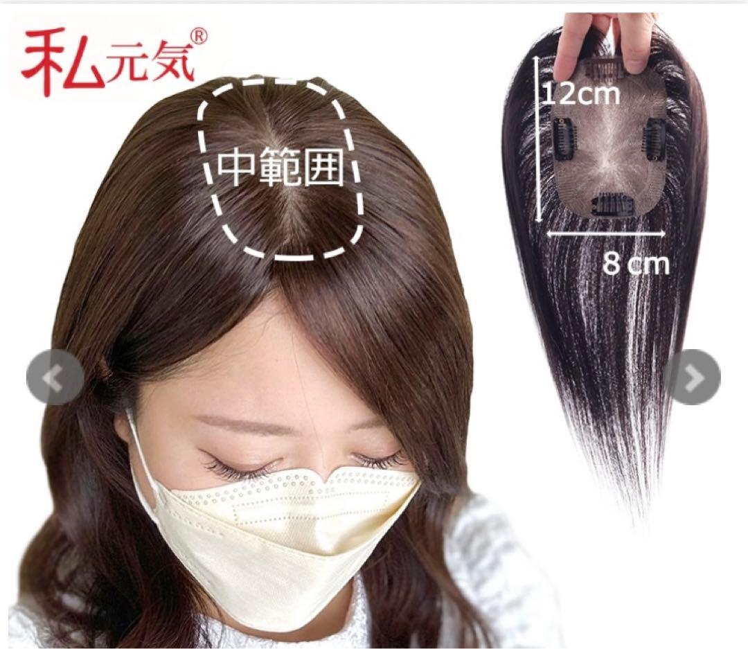 私元気・部分ウィッグ・12×8・ブラック・長さミディアム25センチ【試着のみ】