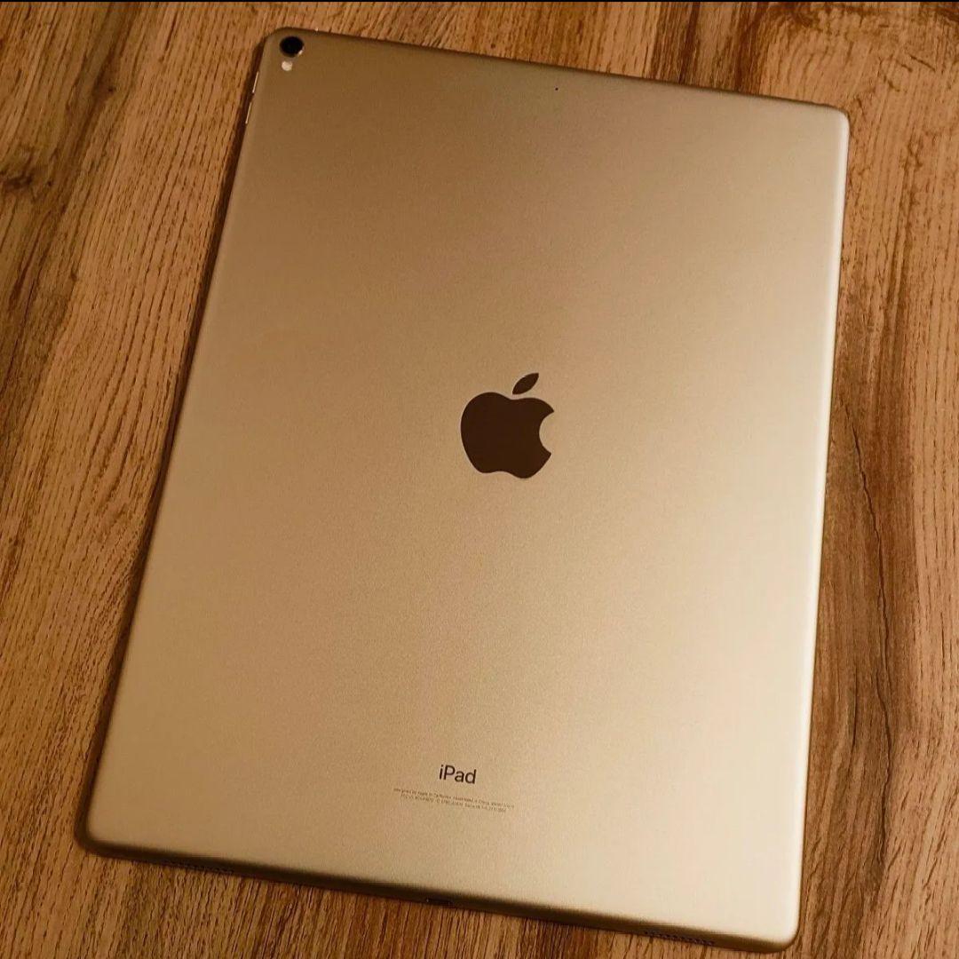 ipadpro 12.9 2017 第二世代 apple pencil 64GB