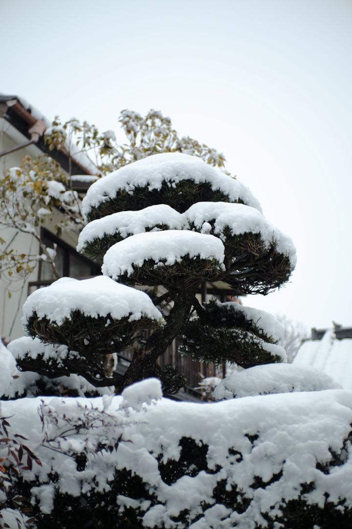 TTArtisan 35mm F1.4 単焦点レンズ