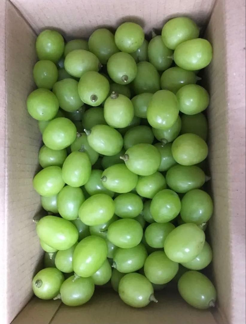 もぐさ　優秀品シャインマスカット　箱抜き3キロ　山梨　ぶどう