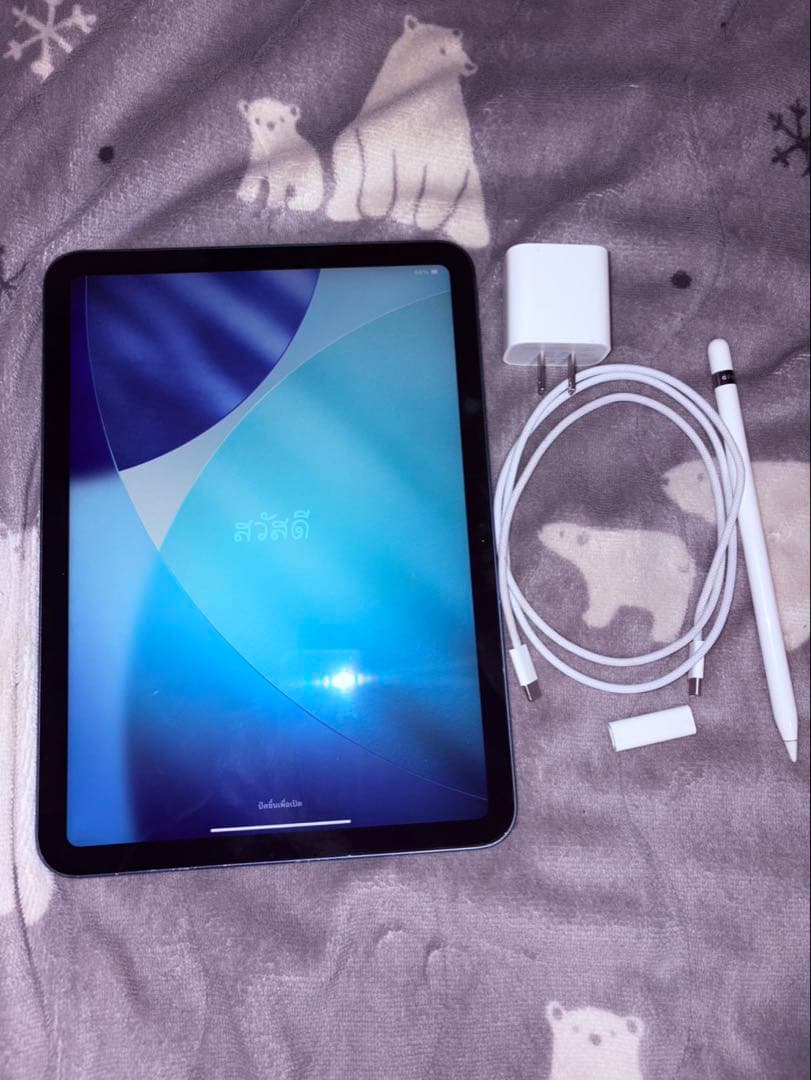 iPad 第10世代 256GB Wi-Fiモデル シルバー 美品 付属品あり