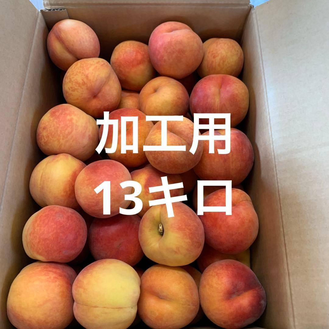 早生ワッサー加工用13キロ