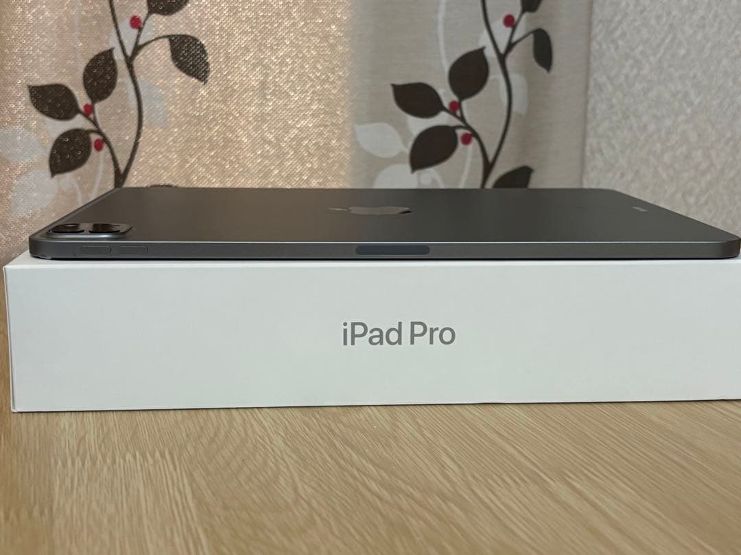 iPad Pro (第4世代) 11インチ 128GB バッテリー100%