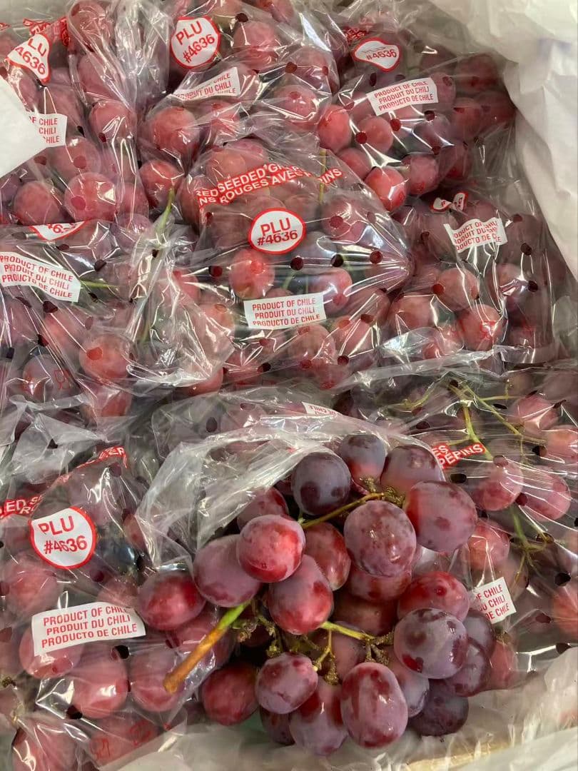 461.皮ごと食べられる新鮮紅提、紅ぶどう種あり　箱込み8.5kg