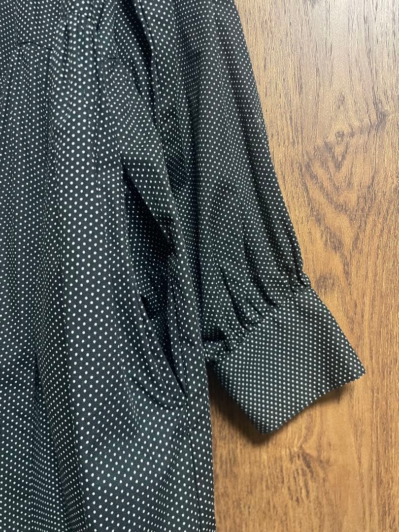 オオカミとフクロウ　フクロウと佇む木々の木漏れ日