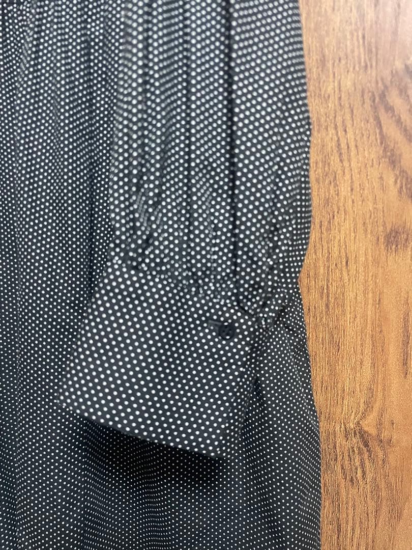 オオカミとフクロウ　フクロウと佇む木々の木漏れ日