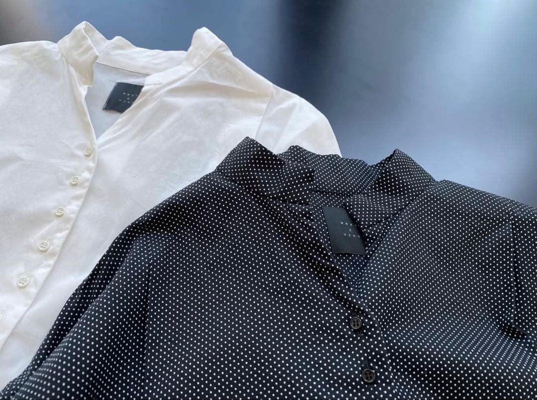 オオカミとフクロウ　フクロウと佇む木々の木漏れ日